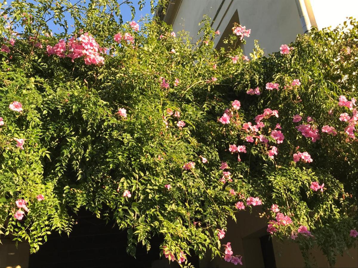 Appartement Elsa Valencia Exteriör bild